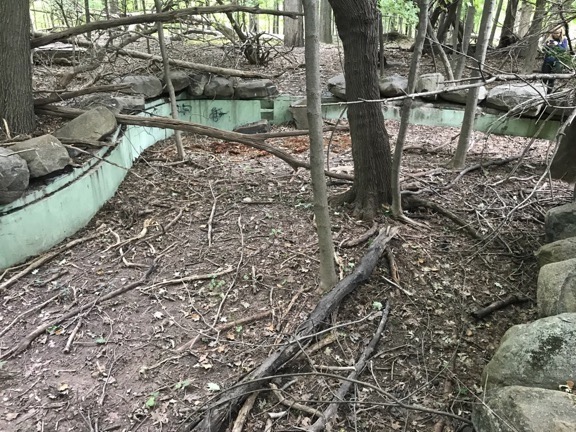 Abandoned Swimming Pool