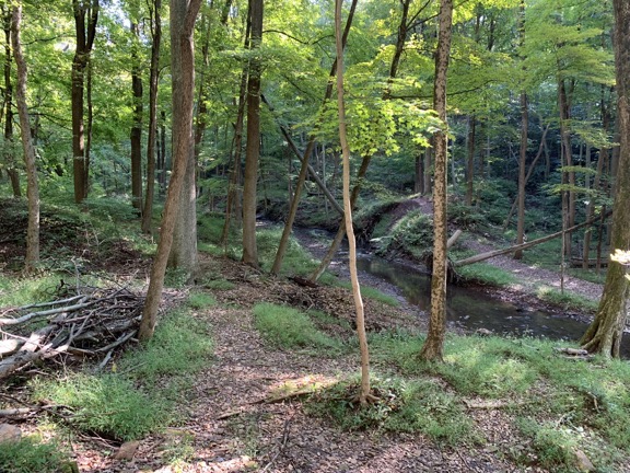Dam Site