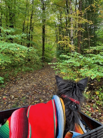 Penny in the ATV