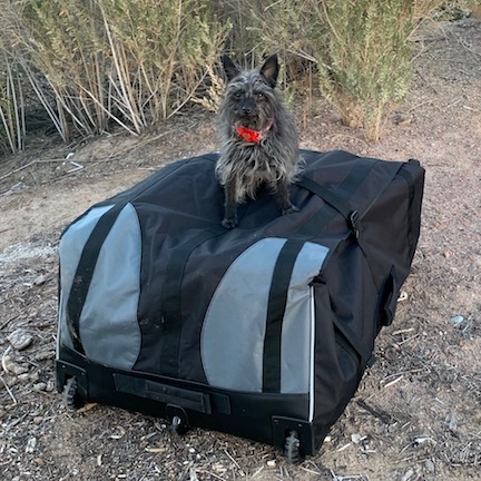 Kayak Bag and Dog