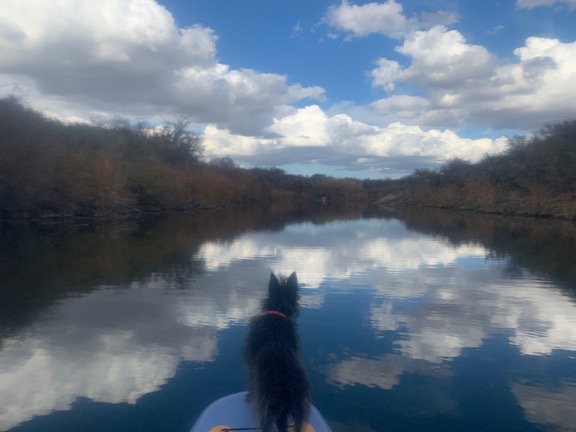 Penny on the Boat