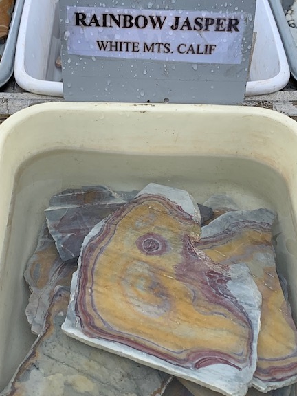 Rainbox Jasper Slabs