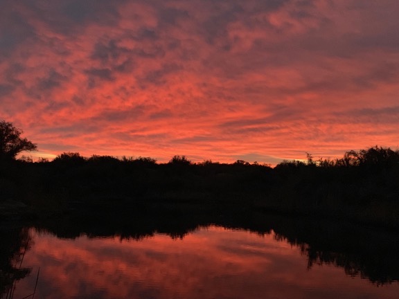 Sunrise