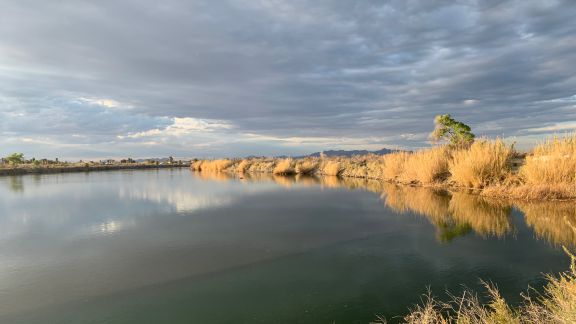 Colorado River