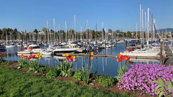 Bellingham Marina