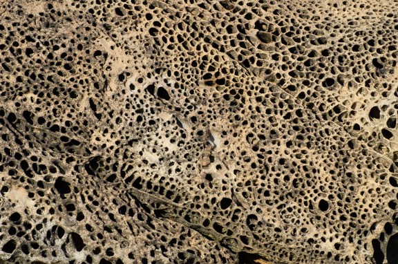 Tafoni