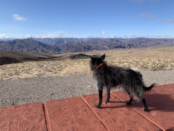 Penny at Viewpoint