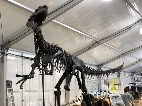 Dinosaur