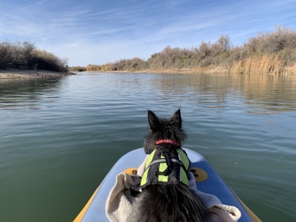 Penny on the Kayak