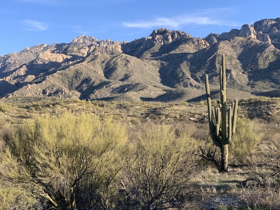 At Catalina State Park