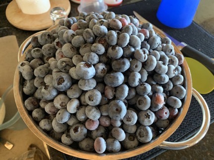 Blueberries
