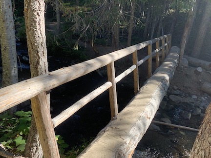Log Bridge