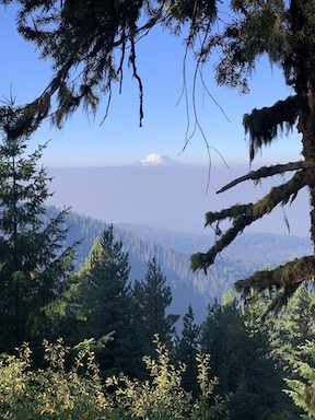Mt. Rainier