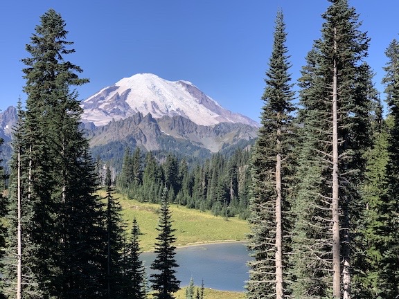 Mt Rainier through the Trees