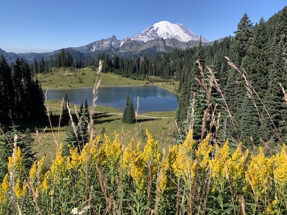 Mt Rainier with Flowers