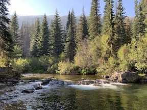 River View