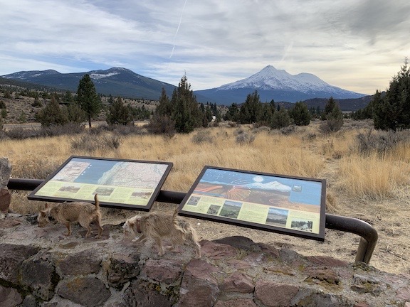 Mt Shasta
