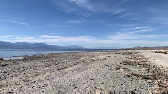 Salton Sea Beach