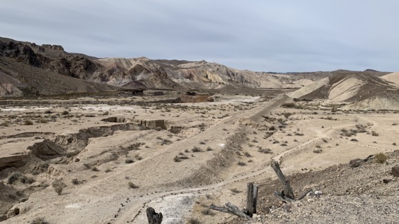 China Date Ranch