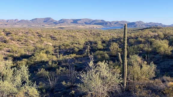 Lake Pleasant View