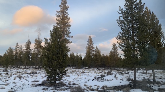 Campsite
