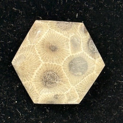Petosky Stone